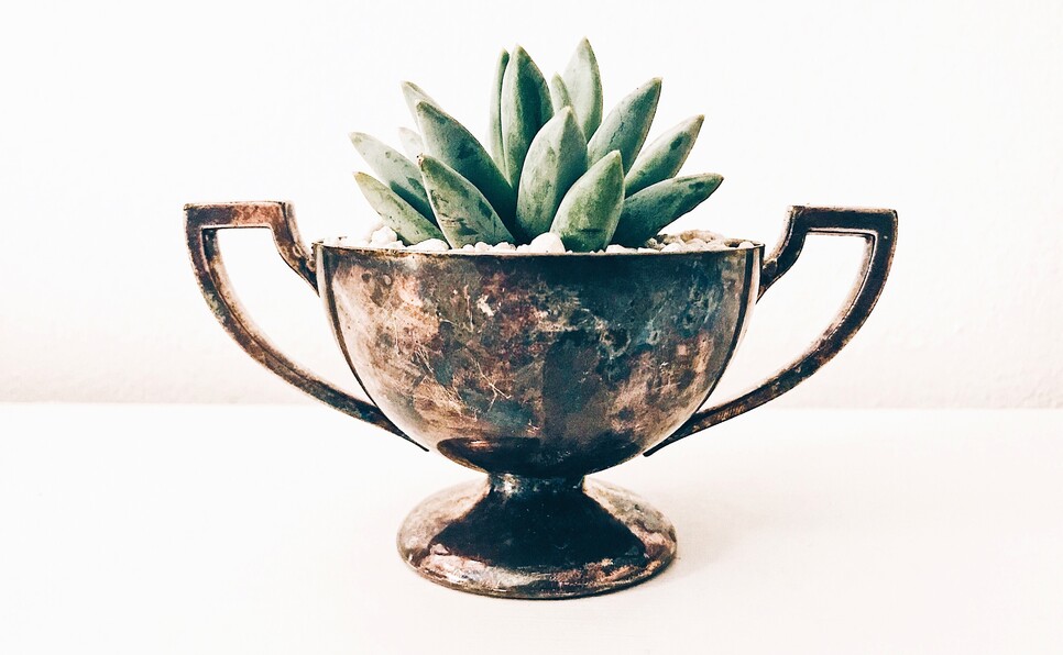 A plant in a trophy indicating achievements in query letter bio